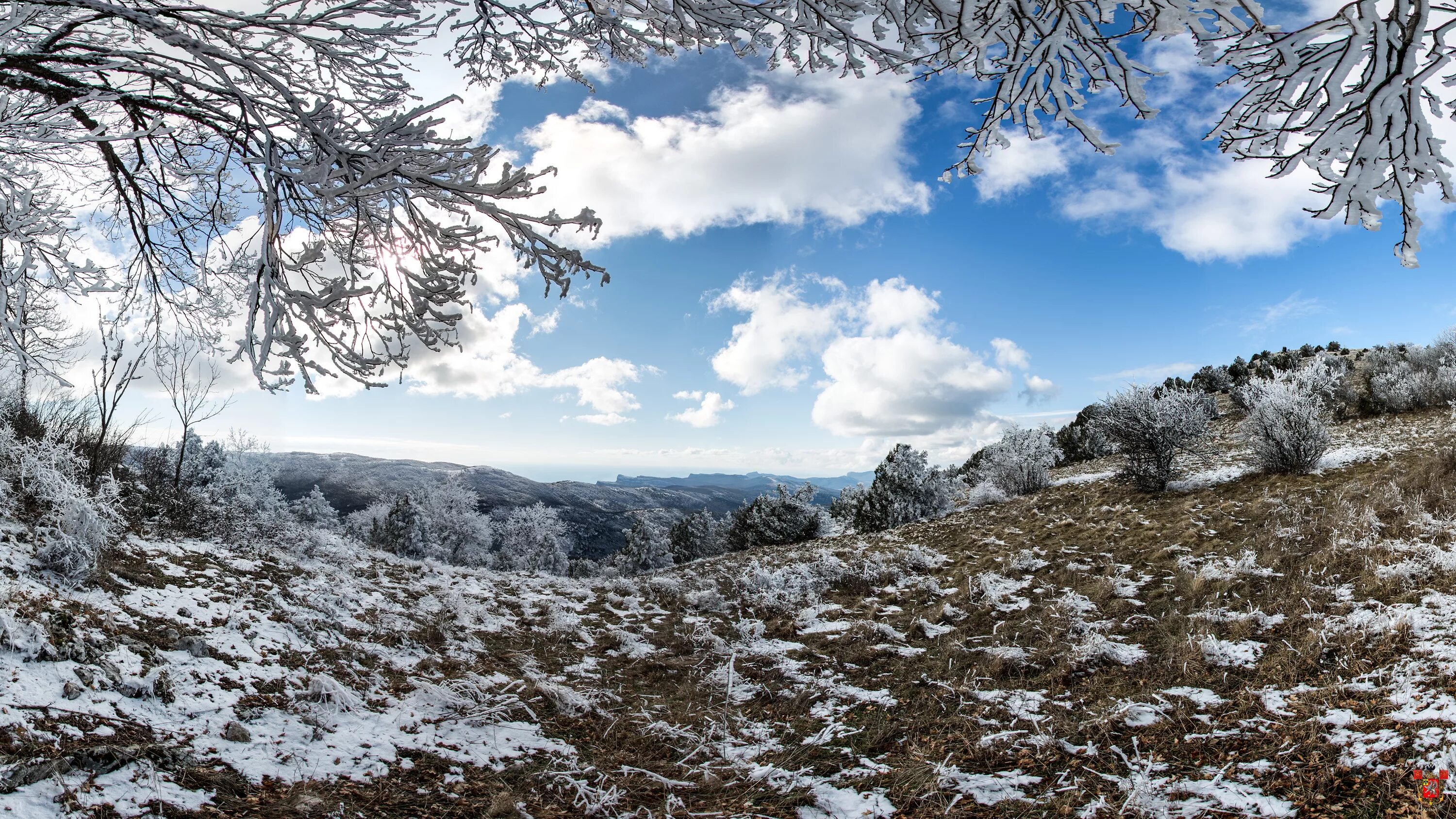 крымский лес зимой. природа крыма зимой. пейзаж крымской зимы. море зимой. природа крыма зимой.
