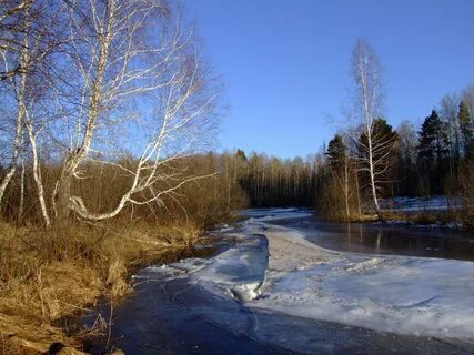 Апрель томск
