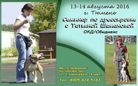 Кинологические курсы для собак