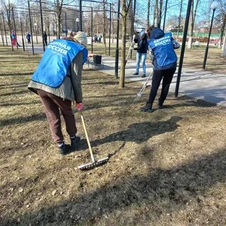 Проведение субботника в организации