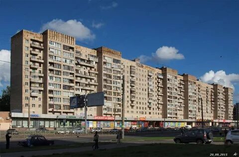 Проспект просвещения санкт петербург отзывы