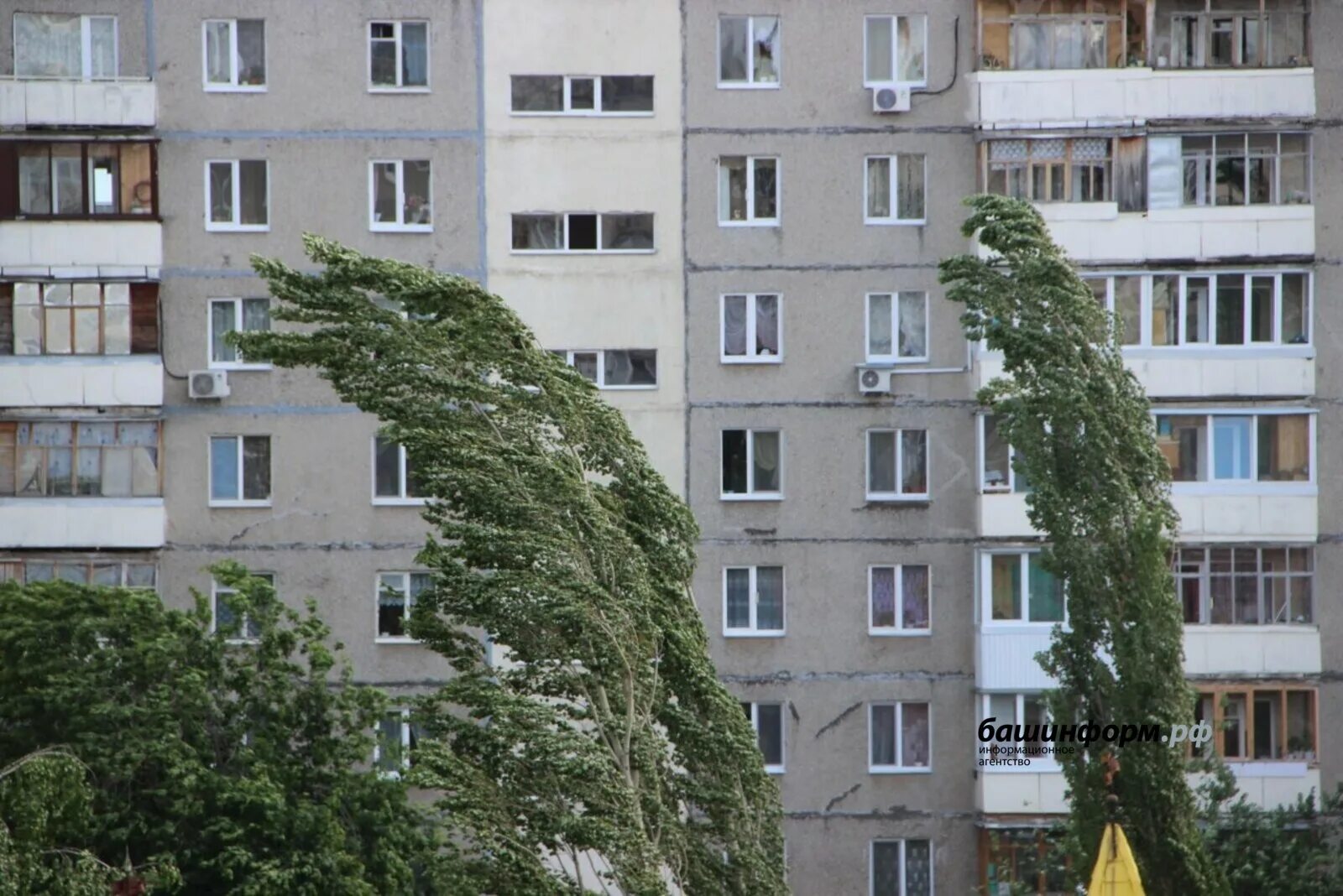 Ветер 15 метров. Порыв ветра 26 м/с. Порывы ветра. Сильный ветер м/с. Шквалистый ветер.