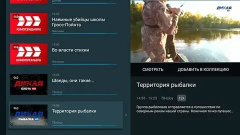 Р т тв