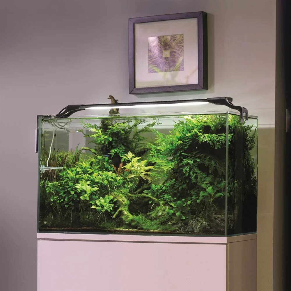 Aquael leddy plant. Leddy Slim Plant 36вт. Светильник светодиодный Aquael Leddy Slim 10w Plant 2.0. Cветильник для аквариума Leddy Slim 16w Duo Sunny & Plant белый. Aquael Leddy.