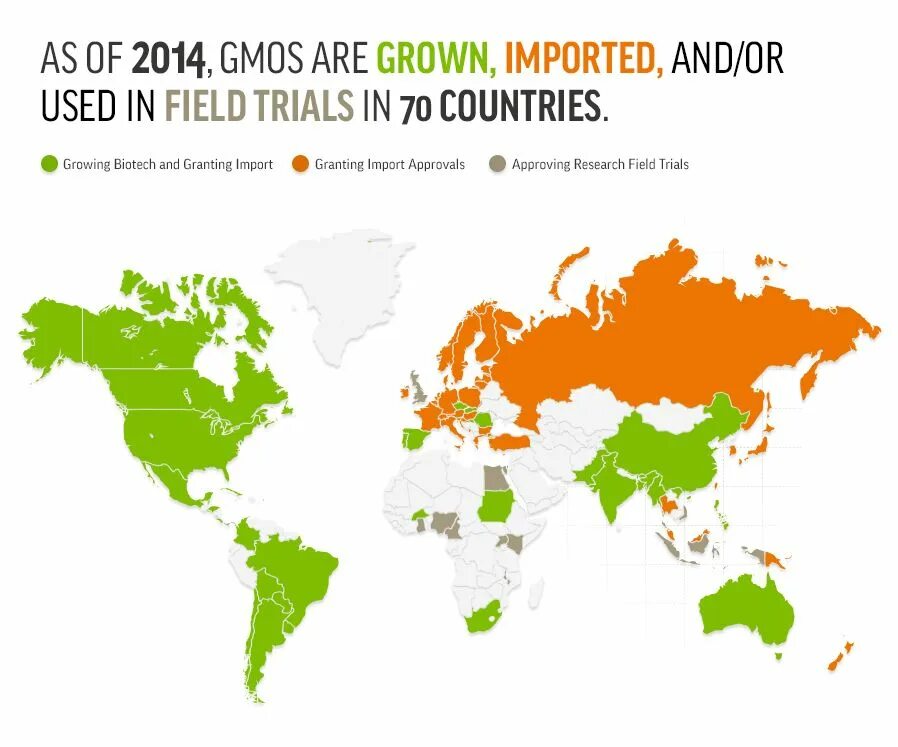 Карта распространения ГМО. Распространение ГМО В мире. ГМО распространенность. Страны где выращивается ГМО. A growing country