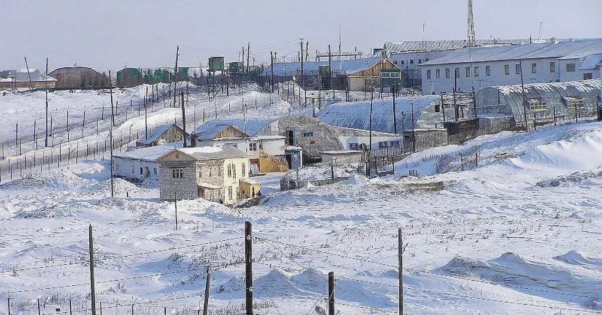 Исправительная колония северная звезда где находится. Харп тюрьма Полярная Сова. Поселок Харп колония Полярная Сова. Лабытнанги зона строгого режима Полярная Сова. ИК 8 Полярная Сова.