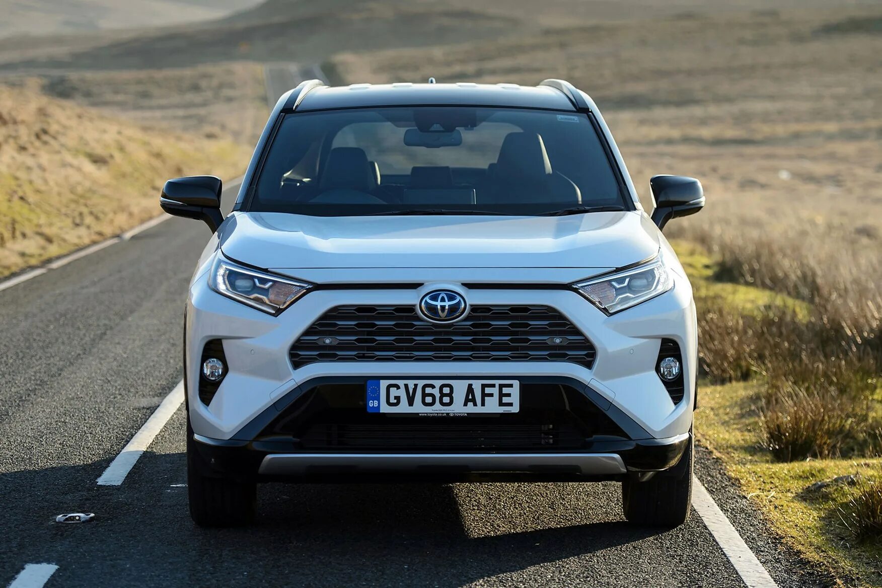 Новый рав 4 цена. Toyota rav4 Hybrid 2020. Toyota rav4 гибрид 2019. Toyota rav4 2020 гибрид. Тойота рав 4 2019 года.