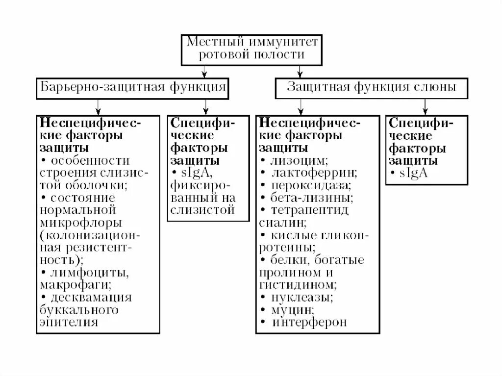 Факторы защиты полости рта. Проявления реакций иммунитета на слизистых полости рта.. Специфические факторы иммунитета полости рта. Схему формирования местного иммунитета полости рта.. Врожденный иммунитет ротовой полости.