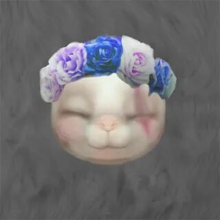 Head url