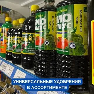 Сегмент рыбинск