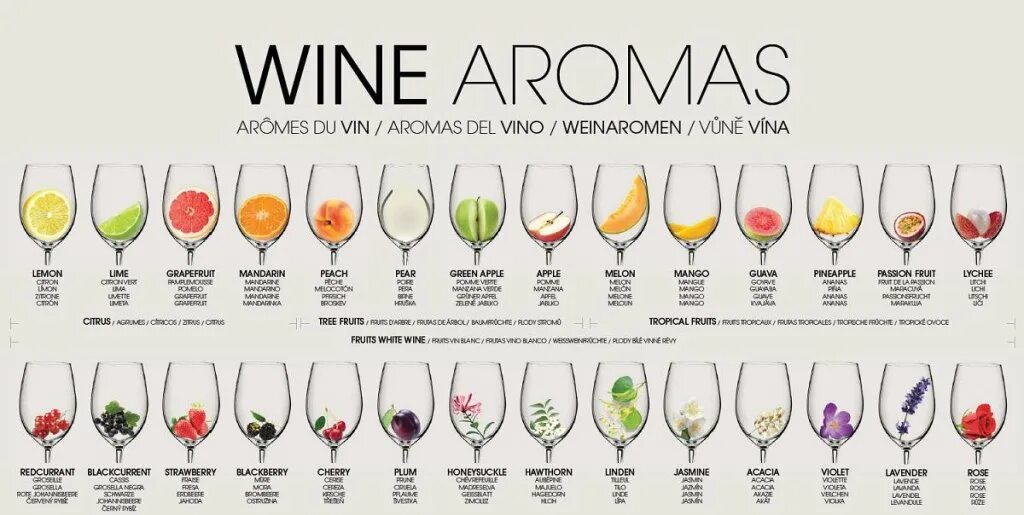 Коллекция нос вина "54 аромата виски". Aromas in wine. Wine aroma wheel. Le nez du vin набор. Набор нос вина.