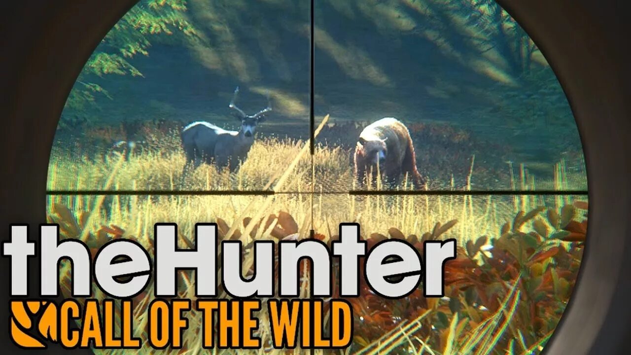 The hunter call of the охота. Way of the hunter. The hunter прохождение. The hunter call of the wild обложка. The hunter прохождение.