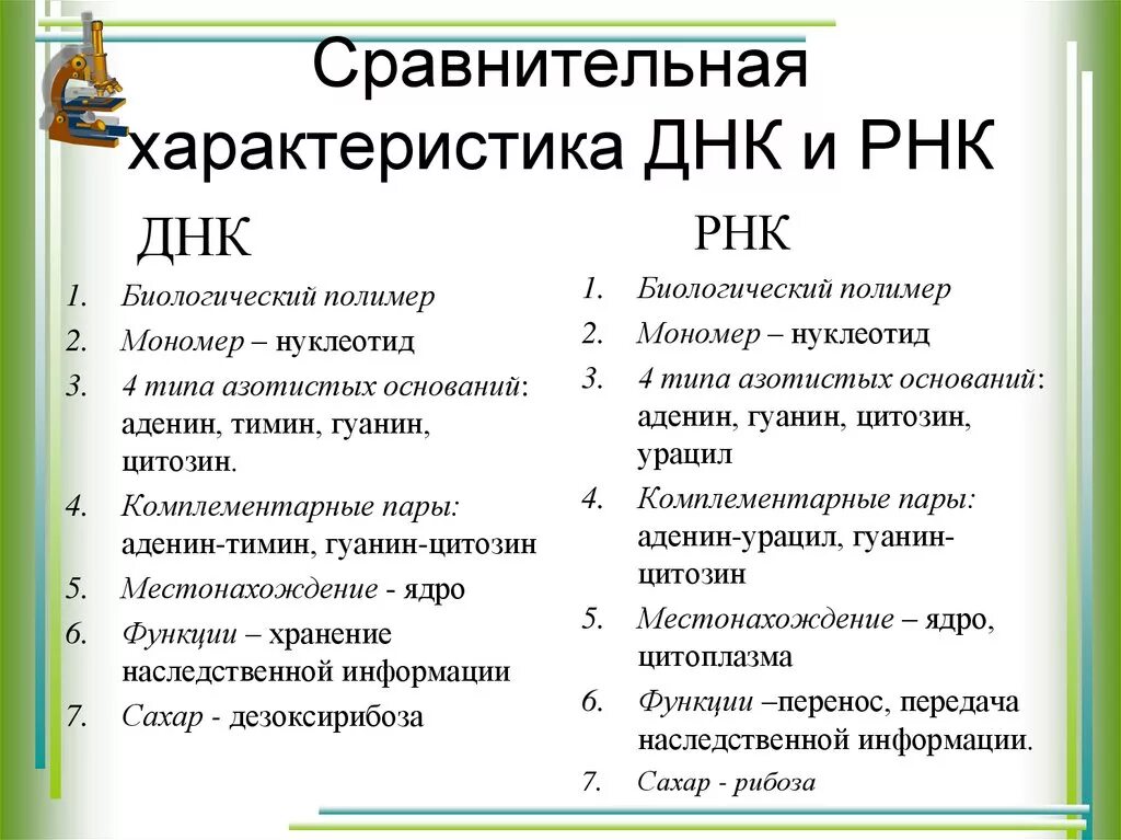 Соединения днк и рнк. Признаки сравнения ДНК И РНК таблица. Характеристика ДНК И РНК. Сравнение ДНК И РНК признаки сравнения. Сравнительная характеристика ДНК И РНК.