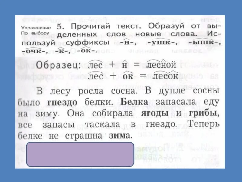Изменение слова суффиксами. Образуй слова. Слово белка с разными суффиксами. Суффиксы в русском языке 5 класс. Белка+образовать+новые+слова.