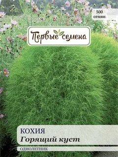 Кохия семена