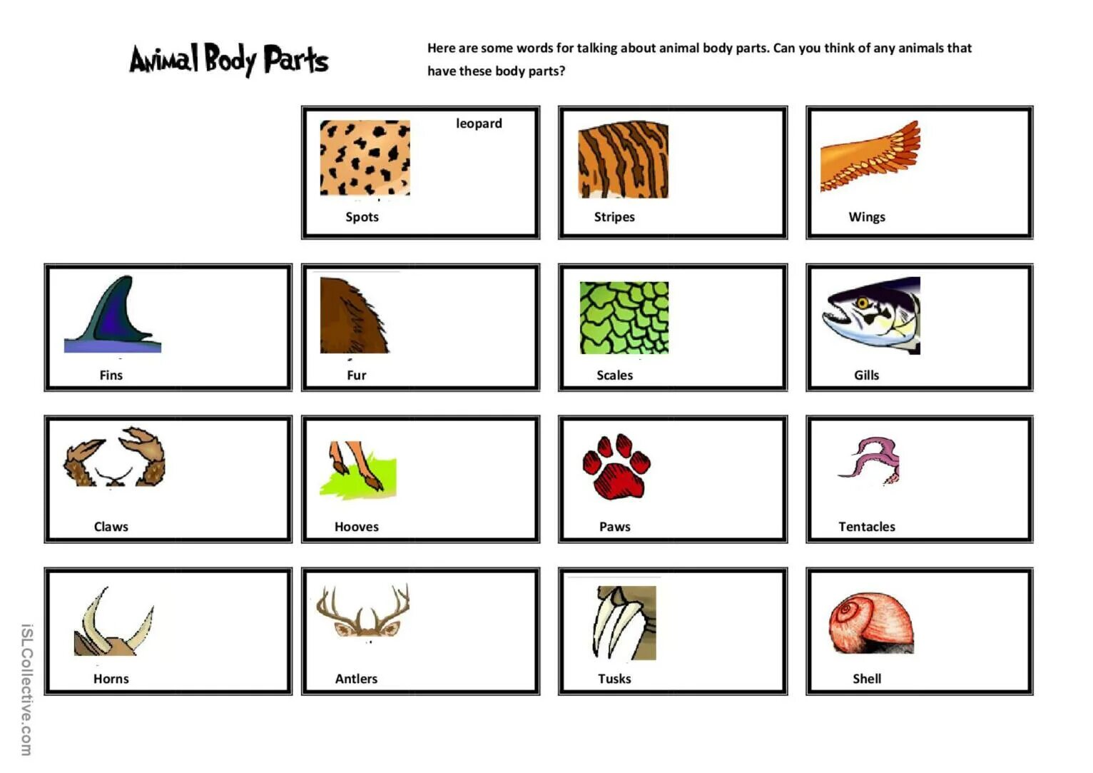 Spotlight 5 animal body parts. Spotlight 5 animal body parts. Spotlight 5 animal body parts. Animal body parts worksheets for kids. Animals body parts vocabulary.