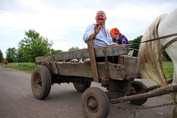 Телега с лошадью. Человек в телеге. Женщина на телеге. Мужик на телеге.