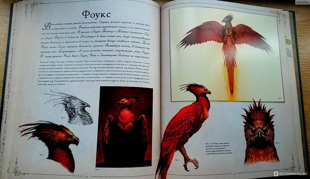 Алексис фоукс. Фоукс thing. фоукс описание.