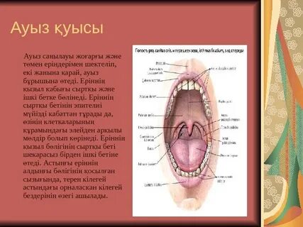 Ногинскідегі жалаңаш қыздардың әуесқой суреттері