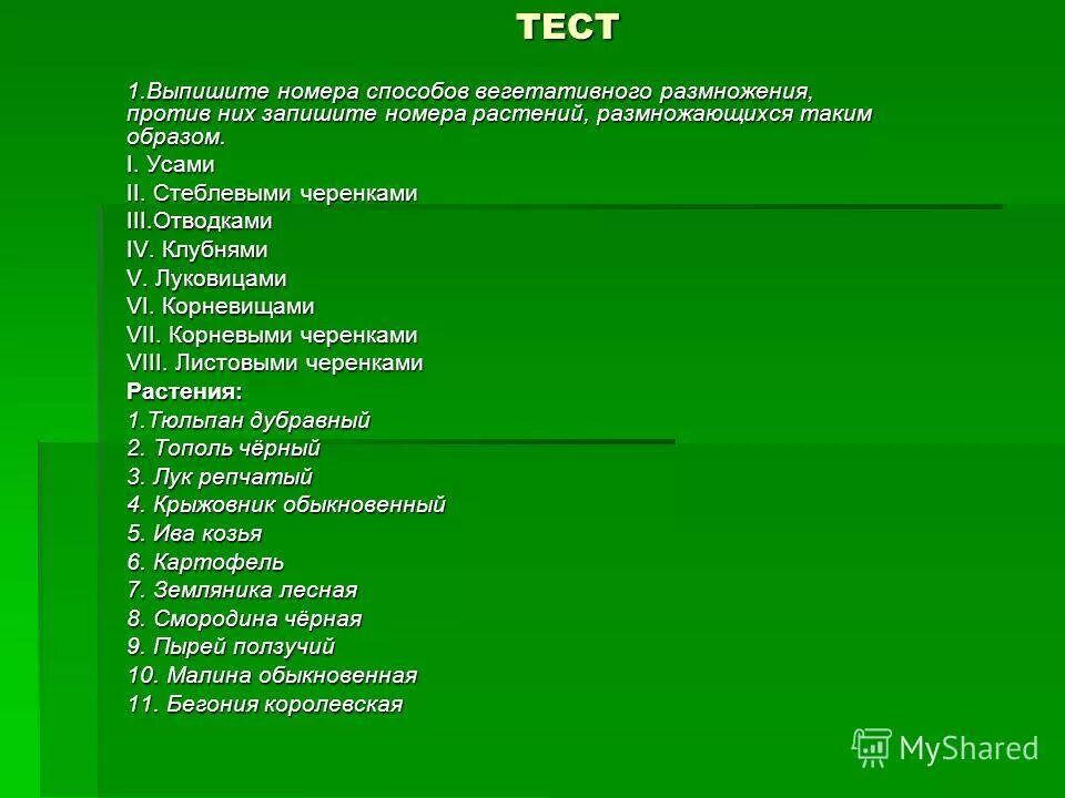 Проверочная по покрытосеменным