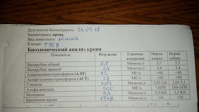 Что означает в анализах повышенное. Анализ крови алт и АСТ норма. АСТ анализ крови что это. Алт анализ крови что это. Алт анализ норма.