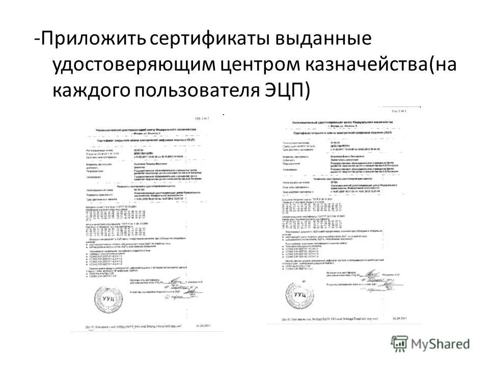 Образец сертификата электронной подписи. Сопроводительное письмо в казначейство. Заявление на ЭЦП. Письмо о получение электронной подписи.