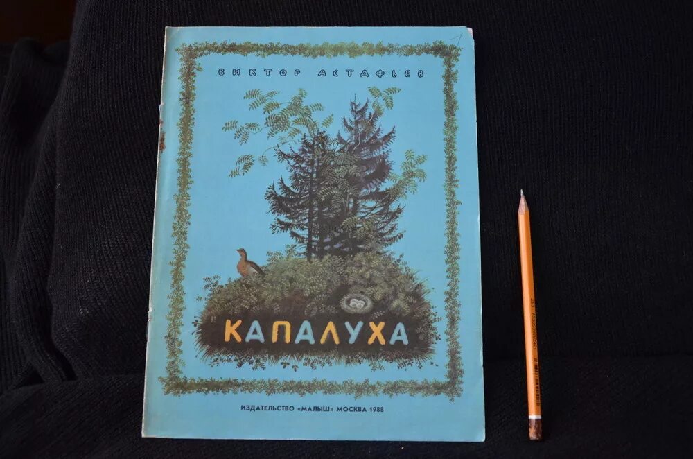 Астафьев капалуха текст полностью. Капалуха Астафьев книга. Иллюстрация к произведению Капалуха.