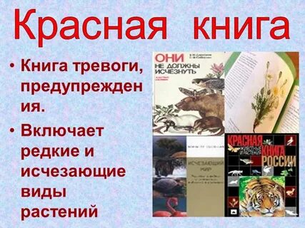 Редкие исчезающие виды красная книга