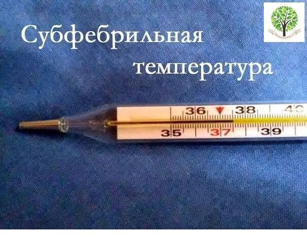У тебя может быть температура. Субфебрильная температура. субфебрильная температура тела. субфебрильная температу. субфебрильное повышение температуры.