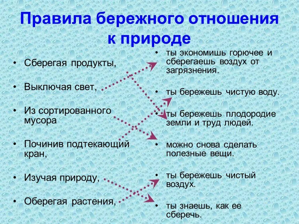 Как характеризует человека отношение к природе. Бережное отношение к природе. Правила бережного отношения к природе. Правило бережного отношения к природе. Примеры бережного отношения.