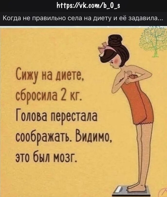 Диета смешное. Сидеть на диете. Толстая и стройная. Правильное питание для похудения. Форумы сидящих на диете.