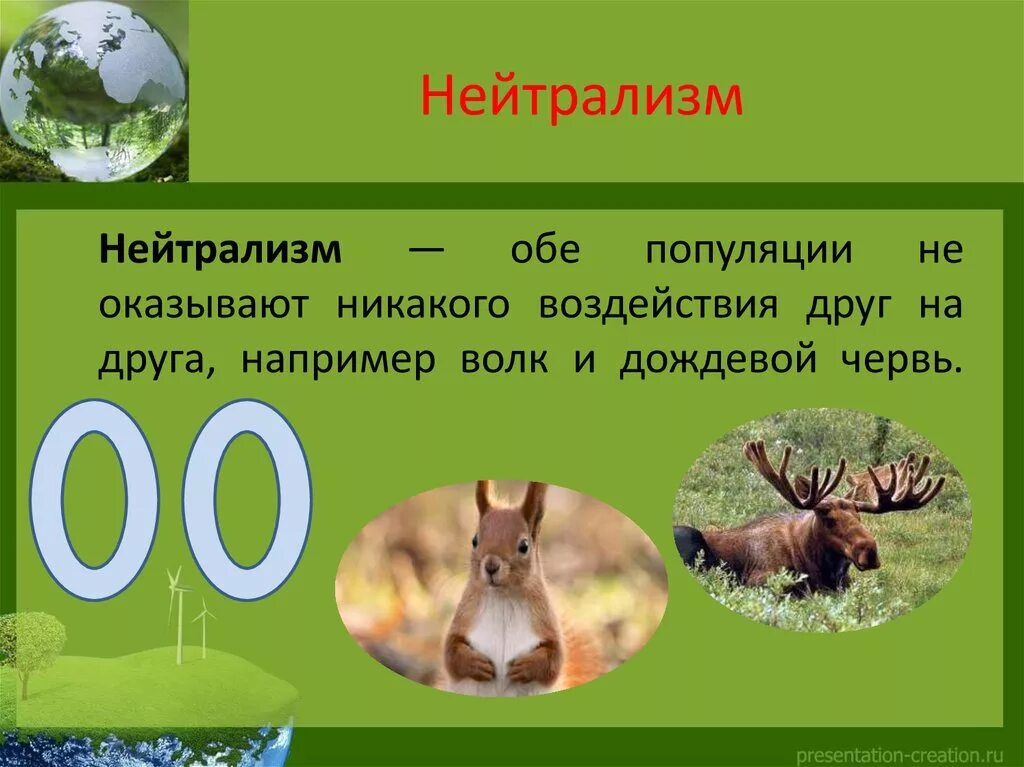 Что такое нейтрализм. Нейтрализм 5 класс биология. Нейтрализм это в биологии. Нейтрализм примеры. Нейтрализм примеры животных.