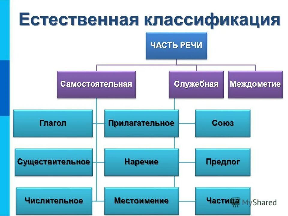 Объектом классификации является. Классификация физкультурно-спортивных сооружений. Объектом классификации является. Компьютерные объекты. Разновидности объектов и их классификация.