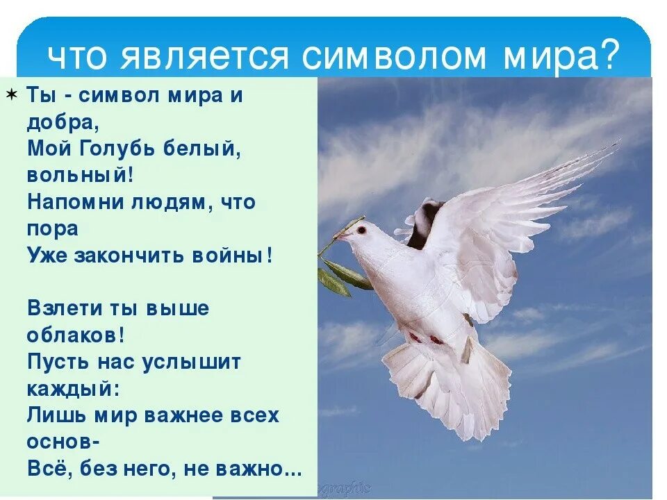 Слово глубь. Стих о голубе. Стих про голубя.