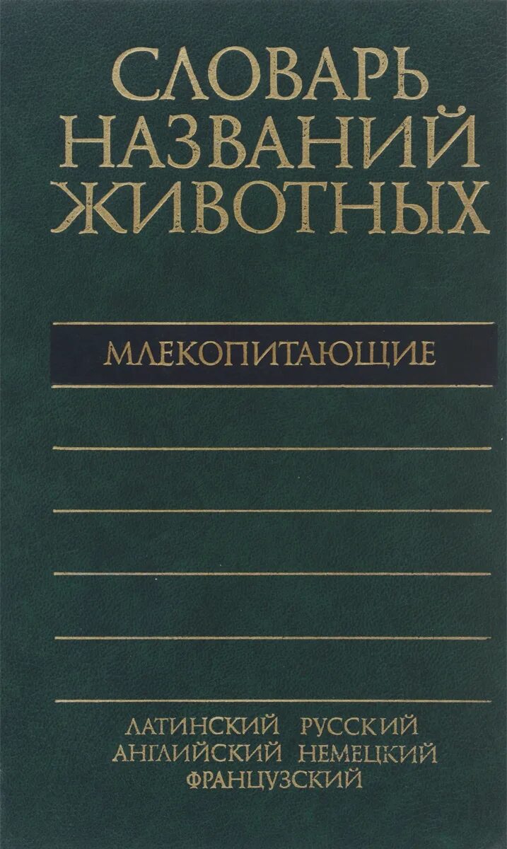 название словаря его автор место и год издания. название словаря авторы. виды словарей русского языка список. название словарей. словари русского языка список с авторами.