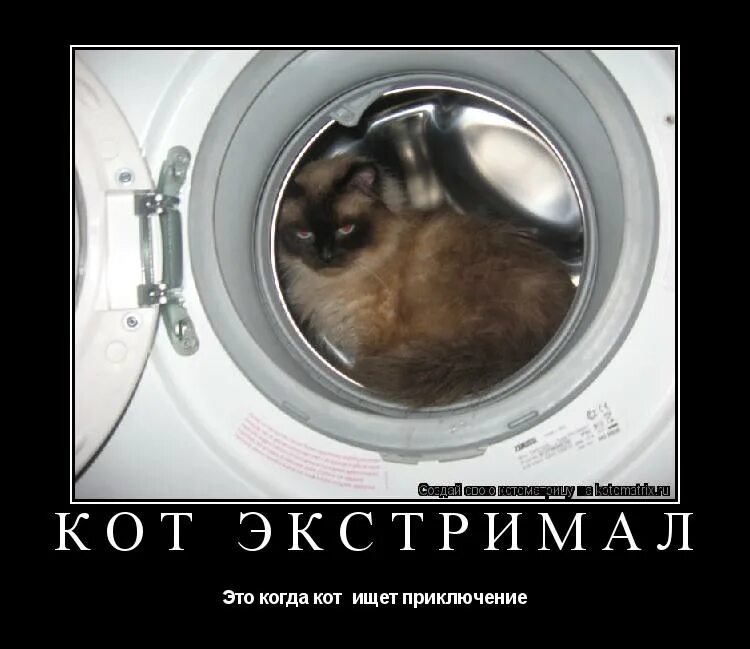 Кот ищет место. Кот ищет место. Кот смешно спрятался. Кошка под кроватью. Коты спят в необычных местах.