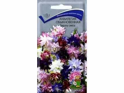 Аквилегия семена