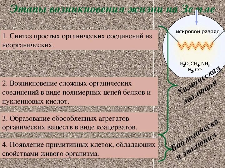 Происхождение живого вещества. Происхождение живого вещества 10 класс. Теории происхождения живого вещества. Происхождение живого вещества 10 класс конспект.