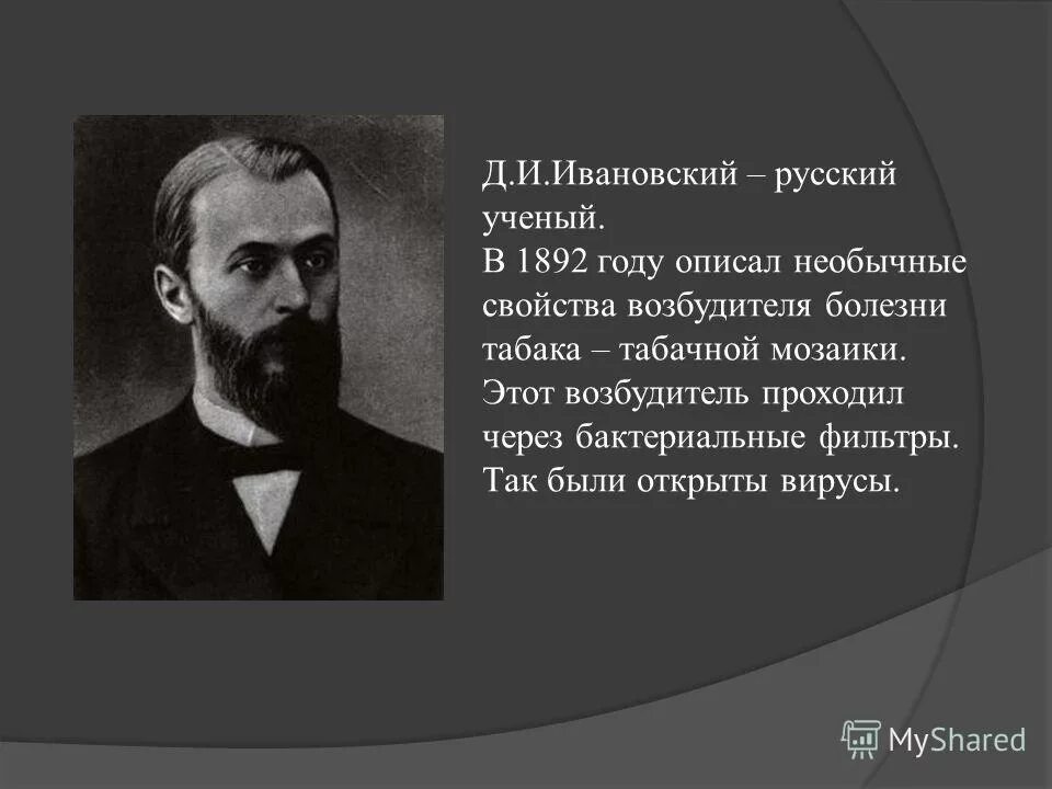 вирусы были открыты в 1892 году. ивановский открыл вирусы в 1892 году. вирусы открыл в 1892 году д. ивановский. и.