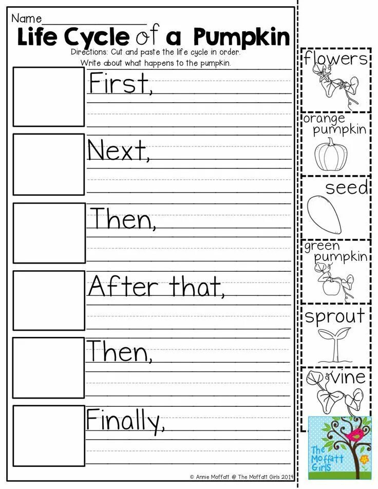 First then finally. First then after that finally. First next then after that. First then next last. First then next finally Worksheets.