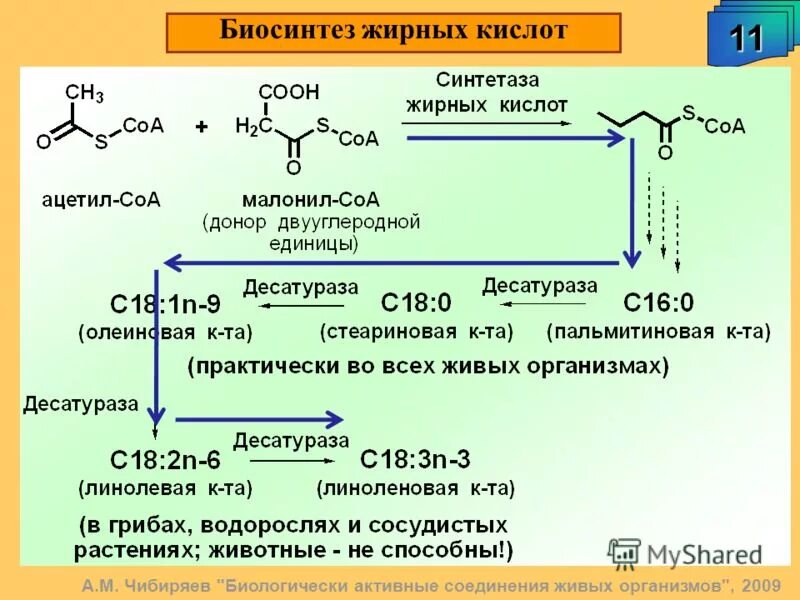 роль пировиноградной кислоты в организме. диссоциация кислот. физико химические свойства мочевой кислоты биохимия. признаки классификации кислот. кислотный ряд активности кислот.