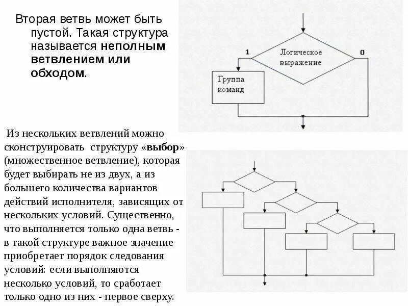 Как в информатике называется структура