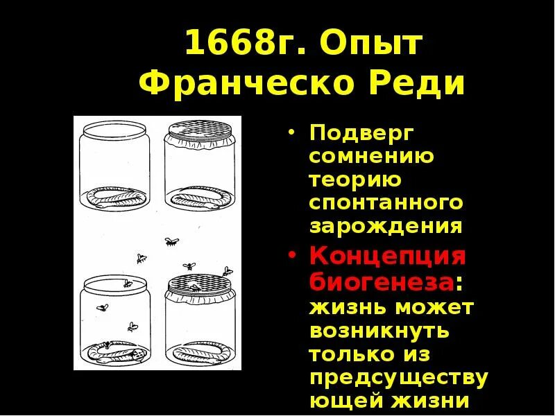 Опыт с мухой. Франческо реди опыт с мясом. Франческо реди опыт с мухами. Франческо реди опыт с мясом и мухами. Эксперимент Франческо реди с мясом.