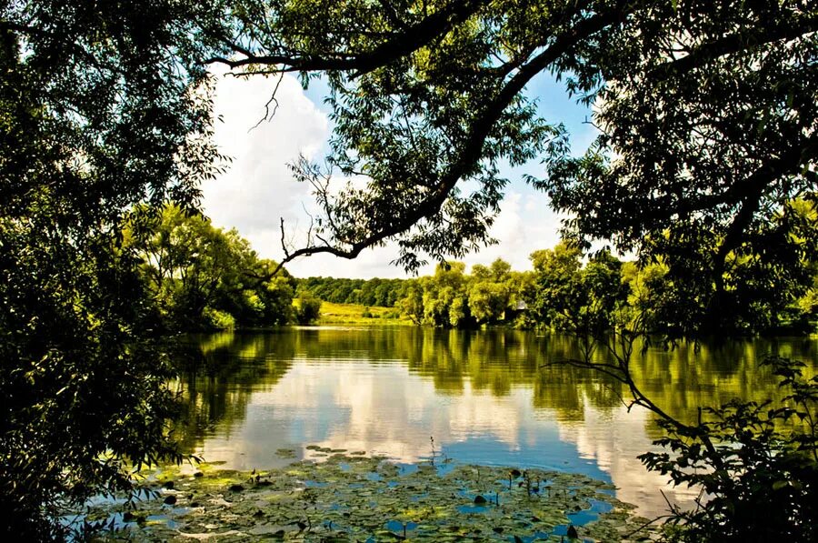 посещение музея-усадьбы «ясная поляна». усадьба ясная поляна. большой в ясной поляне. тула музей толстого ясная поляна. усадьба льва николаевича толстого ясная поляна.