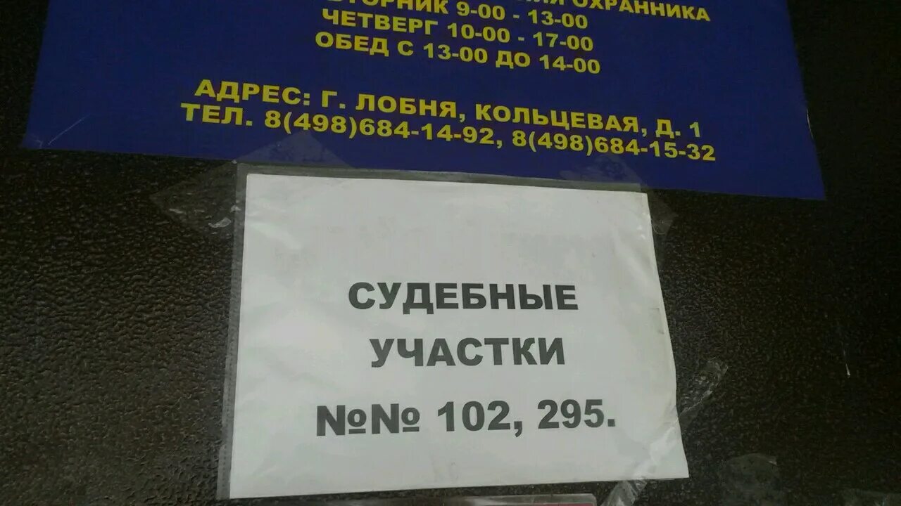 Лобненский городской суд сайт. Мировой судья Лобня. Судебный участок 295. Суд Чайковского 15 Лобня. Мировой суд 295 Лобня.