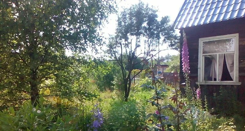 Снт отрада, участок 48 дорога село семеновское. Снт дачное. Моск. Пчелка новая усмань. Снт зверево моск обл.