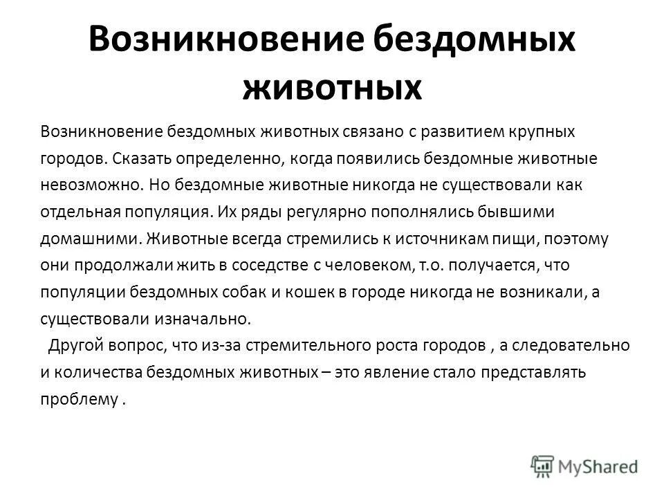 Причины появления бездомных. Бездомные животные презентация. Возникновение бездомных животных. Причины возникновения бездомных животных. Причины появления бездомных животных.