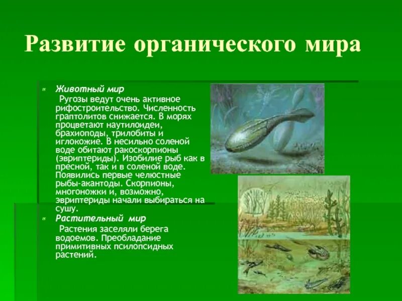 Органический мир биология. Органический мир биология. Эволюционное древо развития животных. Живые организмы. Органический мир биология.