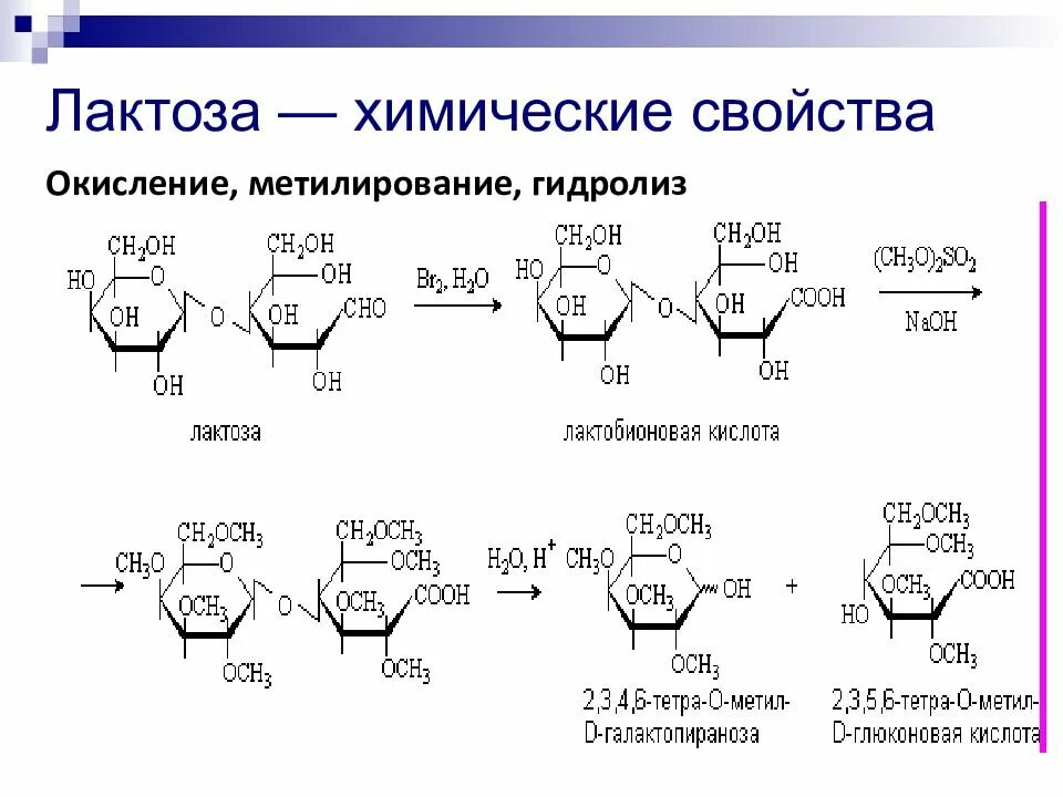 Гидролиз Альфа лактозы. Реакция окисления лактозы. Окисление лактозы в кислой среде. Окисление лактозы бромной водой.