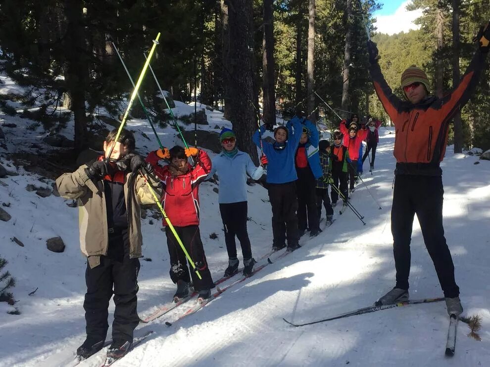 Школьники на лыжах. Урок физкультуры на лыжах. Лыжи в школе. Физкультура на лыжах в школе.